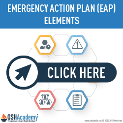 Infographic of EAP Elements