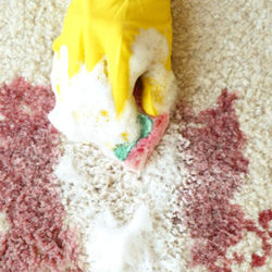 Image of worker cleaning spill. Are the gloves in the image suitable for cleaning up an acid spill?