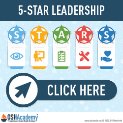 Infographic of Five Star Leadership Elements