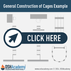 Geigle Safety Group Infographic of Cage Examples