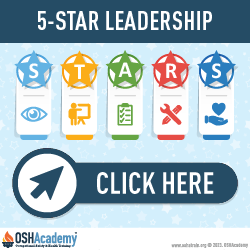 Geigle Safety Group Infographic Five Stars of Leadership