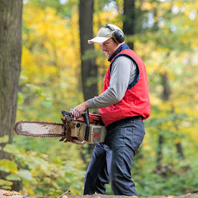 Chainsaw worker in the woods; beware of poison ivy and poison oak