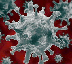 Coronavirus with spikes