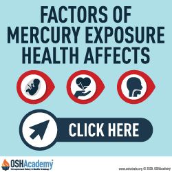 mercury exposure health effects