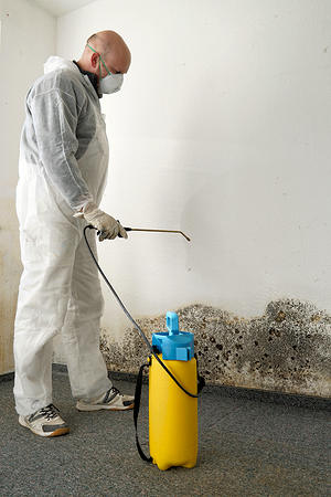 Mold remediation