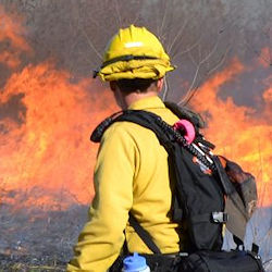 Wild Land Fire Control. photo