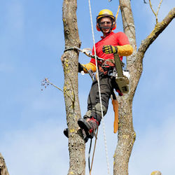 Climbing techniques - rf123 photo.