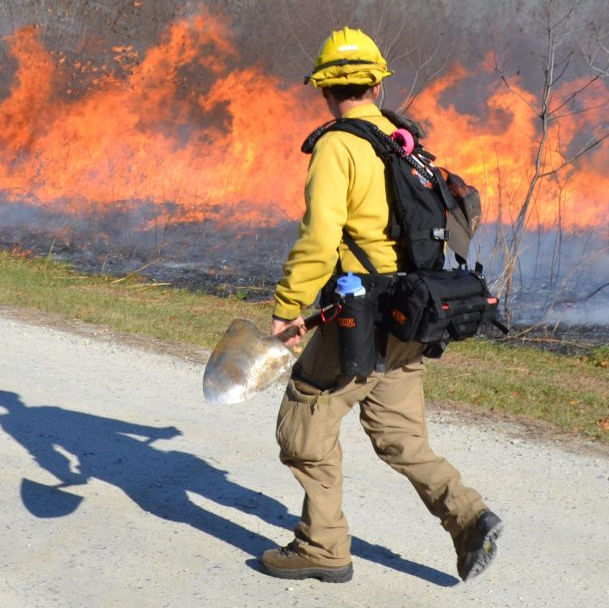 USACE fire fighter viewing large field fire and flames