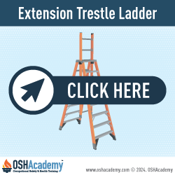 Infographic of Extension Trestle Ladder