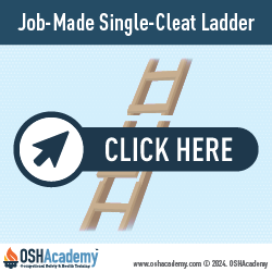 Infographic of job-made single cleat ladder