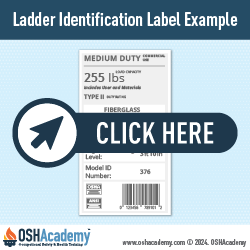 Infographic of Ladder Identification Label Example 