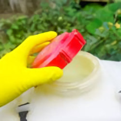 Gloved worker removing lid from sealed container