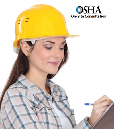 Single OSHA inspector writing notes from the OSHA on site consultation Department