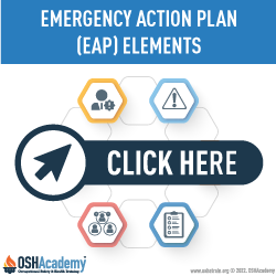 Infographic Showing Elements Of The EAP.