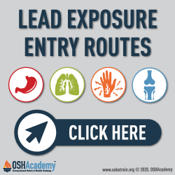  Infographic about lead exposure entry routes