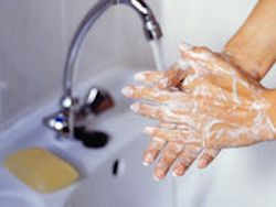 An employee at a sink with bar of soap washing her hands.