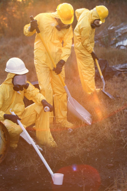 employees using shovels on the work