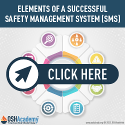 Infographic of SMS Elements