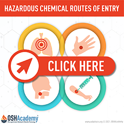 Infographic of types of hazardous chemical routes of entry