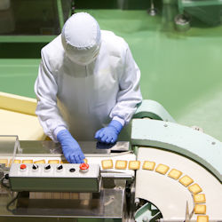 Worker with PPE watching  small square cracker items on convenyor belt.