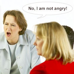 Angry woman yelling at one individual  No I am not angry! Other people are seated around the table. 