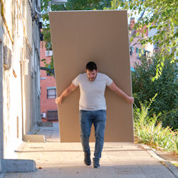 worker carrying large piece of plywood