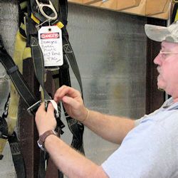 inspector inspecting webbing