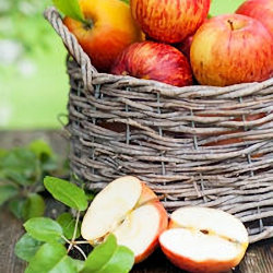 a basket of red apples