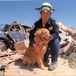 emergency responder with dog on earthquake rubble