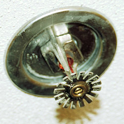 Close up view of a ceiling mounted sprinkler