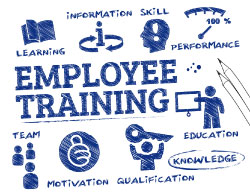 Illustration of employee training and coordinating themes.