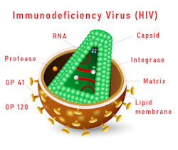 Image of a Immunodeficiency Virus HIV virus attacking a cell.