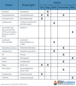 Infographic about wild and domesticated animal disease