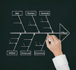 Image of the  fishbone diagram