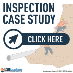Inspection case study information