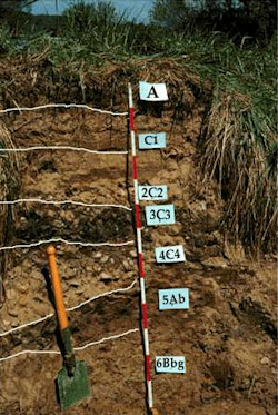 Multi-layered soil