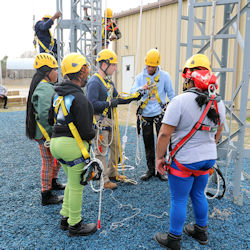 Workers receiving hand-on fall protection training