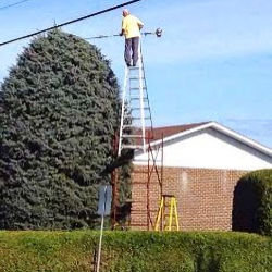 Picture of man standing on top of a tall ladder sawing the top of a bush