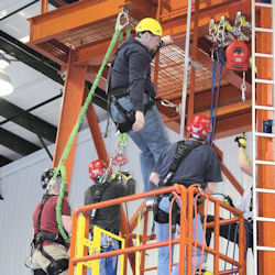 Hands-on fall protection training with a group of workers