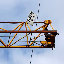 Worker carrying ladder