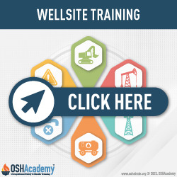 Infographic of Wellsite Training