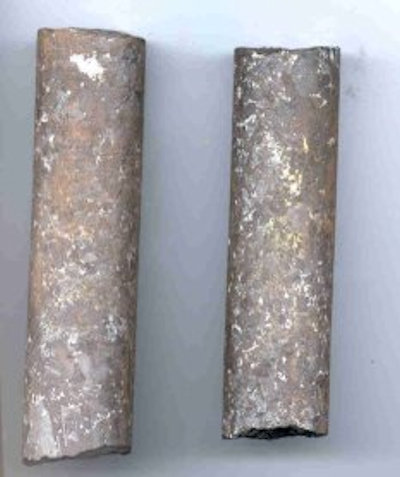 Two core samples for examination