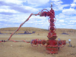 Wellhead on a flowing well