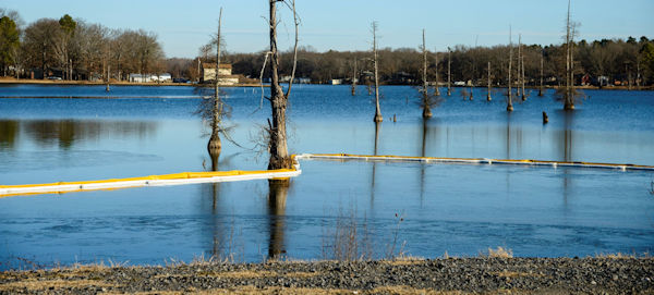 River view of damage to plant and animal life from oil spill