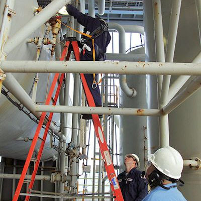 Employee on ladder being trained and evaluated